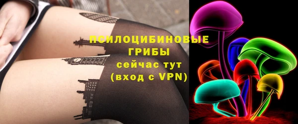 2c-b Медвежьегорск